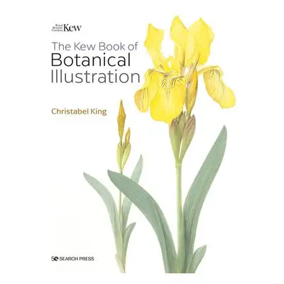 Kew Book of Botanical Illustration (paperback edition) - King, Christabel