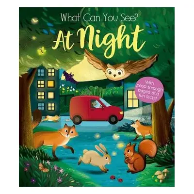 What Can You See At Night? - Ware, Kate