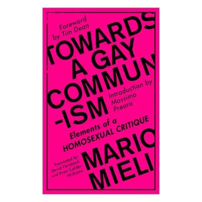 Towards a Gay Communism - Mieli, Mario