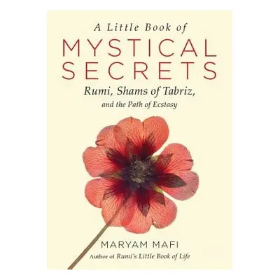 Little Book of Mystical Secrets - Mafi, Maryam (Maryam Mafi)