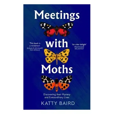 Meetings with Moths - Baird, Katty