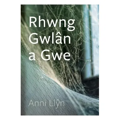 Cyfres Tonfedd Heddiw: Rhwng Gwlan a Gwe - Llyn, Anni