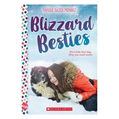 Blizzard Besties: A Wish Novel