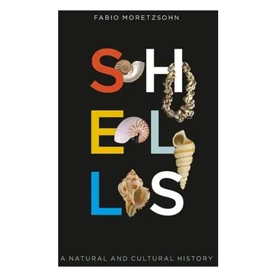 Shells - Moretzsohn, Fabio