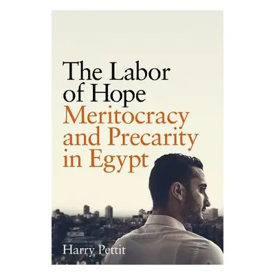 Labor of Hope - Pettit, Harry