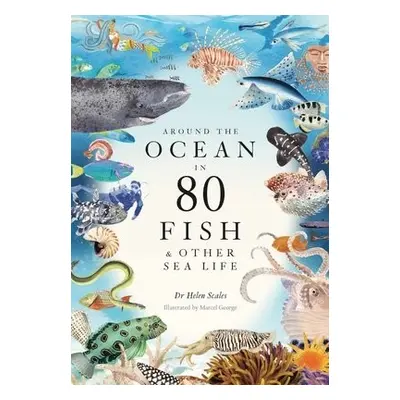 Around the Ocean in 80 Fish and other Sea Life - Scales, Helen