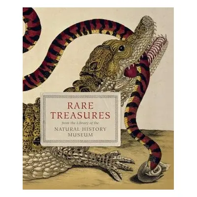 Rare Treasures - Magee, Judith