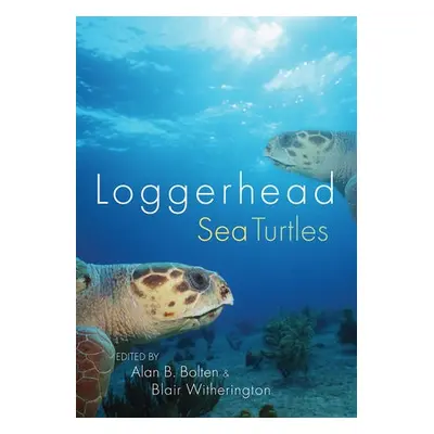 Loggerhead Sea Turtles