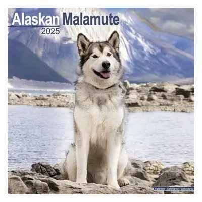 Alaskan Malamute Calendar 2025 Square Dog Breed Wall Calendar - 16 Month