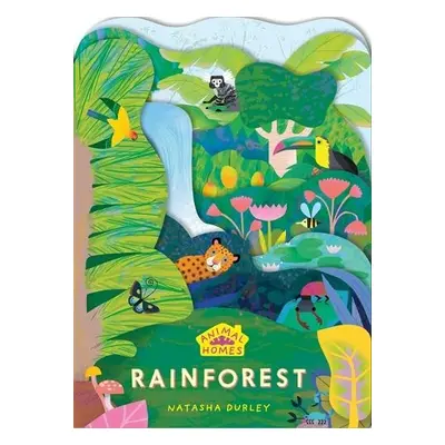 Animal Homes: Rainforest