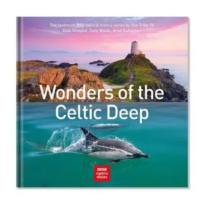 Wonders of the Celtic Deep - Templar, Dale a Weale, Sally a Gallagher, Anne