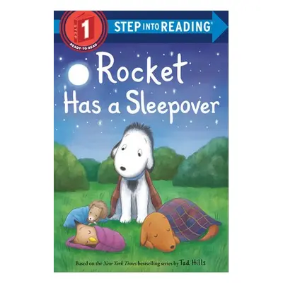 Rocket Has a Sleepover - Hills, Tad