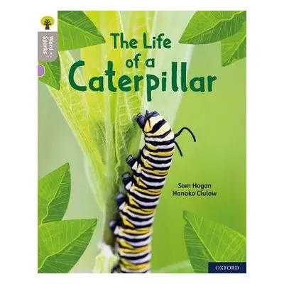 Oxford Reading Tree Word Sparks: Level 1: The Life of a Caterpillar - Hogan, Sam