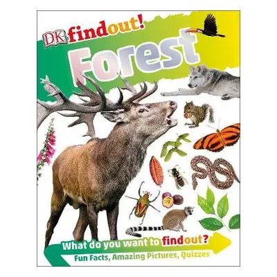 DKfindout! Forest - DK