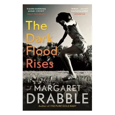 Dark Flood Rises - Drabble, Margaret