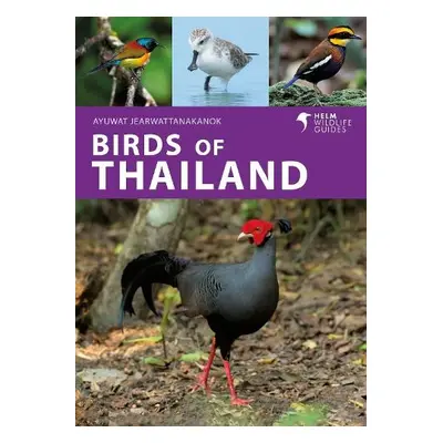 Birds of Thailand - Jearwattanakanok, Ayuwat