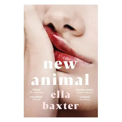 New Animal - Baxter, Ella