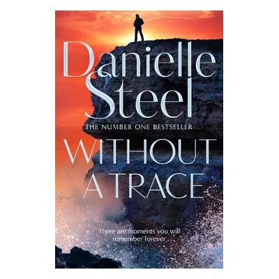 Without A Trace - Steel, Danielle