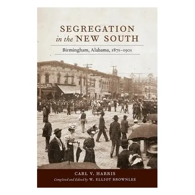 Segregation in the New South - Harris, Carl V.