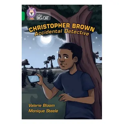 Christopher Brown: Accidental Detective - Bloom, Valerie