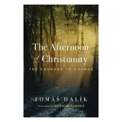 Afternoon of Christianity - Halik, Tomas