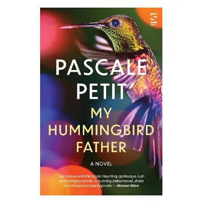 My Hummingbird Father - Petit, Pascale