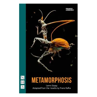 Metamorphosis - Kafka, Franz