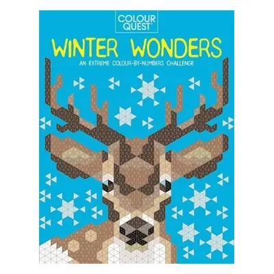 Colour Quest®: Winter Wonders - Geremia, Daniela a Farnsworth, Lauren