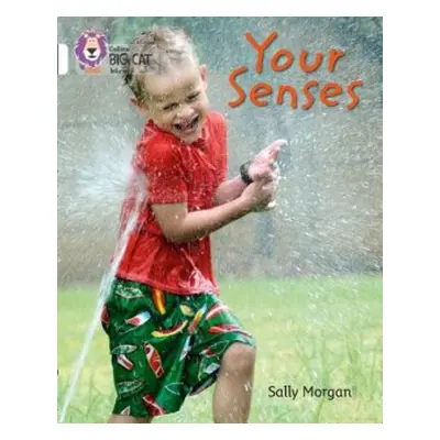 Your Senses - Morgan, Sally