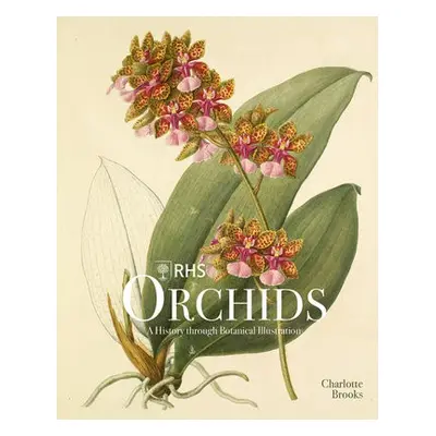 RHS Orchids - Brooks, Charlotte