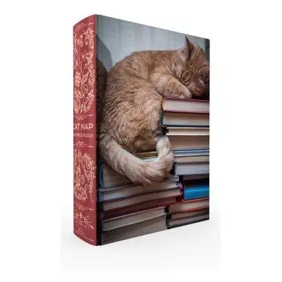 Cat Nap Book Box Puzzle - Smith, Gibbs