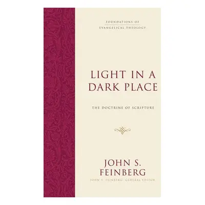 Light in a Dark Place - Feinberg, John S.