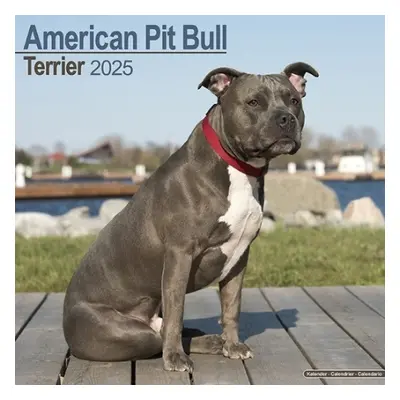 American Pit Bull Terrier Calendar 2025 Square Dog Breed Wall Calendar - 16 Month