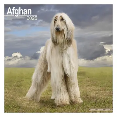 Afghan Calendar 2025 Square Dog Breed Wall Calendar - 16 Month