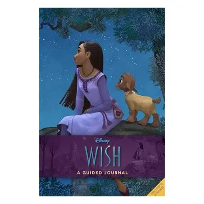 Disney Wish: A Guided Wishing Journal - Insight Editions