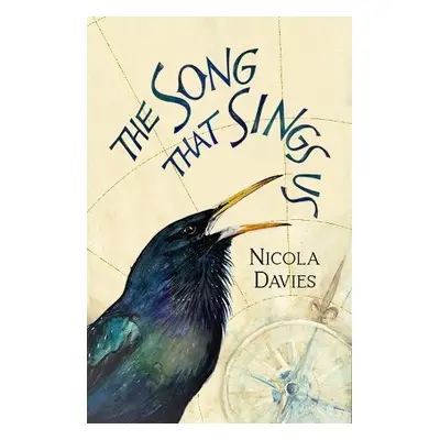 Song that Sings Us - Davies, Nicola