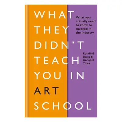 What They Didn't Teach You in Art School - Davis, Rosalind a Tilley, Annabel