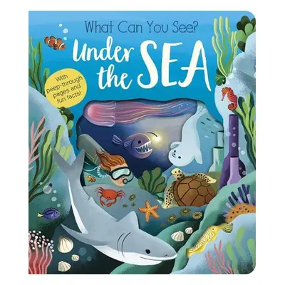 What Can You See? Under the Sea - Littleboy, Molly