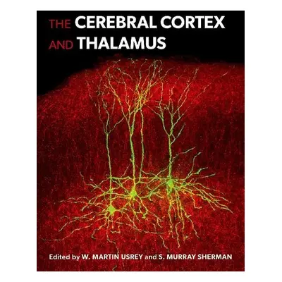 Cerebral Cortex and Thalamus