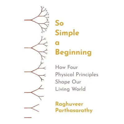 So Simple a Beginning - Parthasarathy, Raghuveer