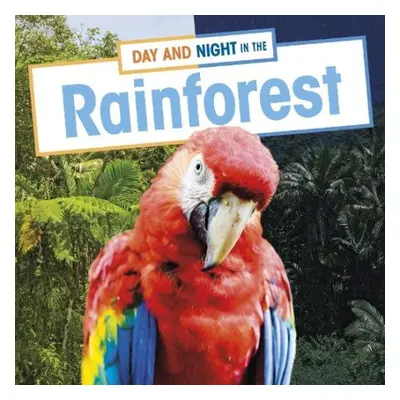 Day and Night in the Rainforest - Labrecque, Ellen