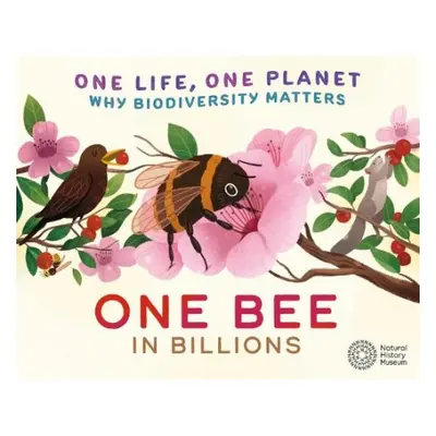 One Life, One Planet: One Bee in Billions - Ridley, Sarah