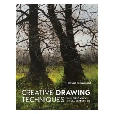 Creative Drawing Techniques - Brammeld, David