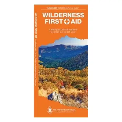 Wilderness First Aid - Canterbury, Dave a Press, Waterford