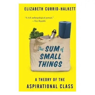 Sum of Small Things - Currid-Halkett, Elizabeth