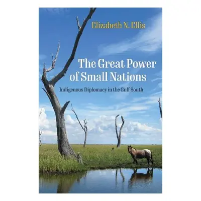 Great Power of Small Nations - Ellis, Elizabeth N.