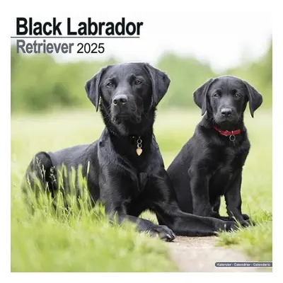 Black Labrador Retriever Calendar 2025 Square Dog Breed Wall Calendar - 16 Month