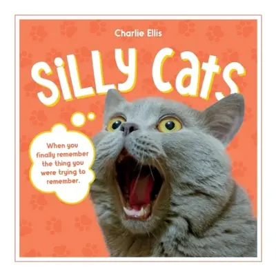 Silly Cats - Publishers, Summersdale