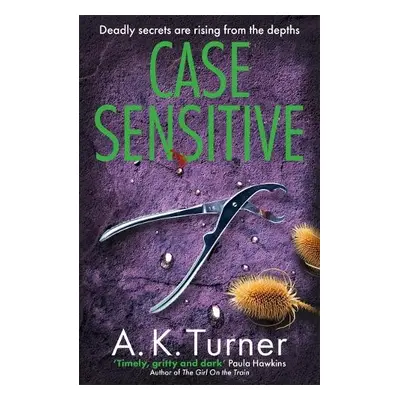 Case Sensitive - Turner, A. K.