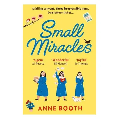 Small Miracles - Booth, Anne